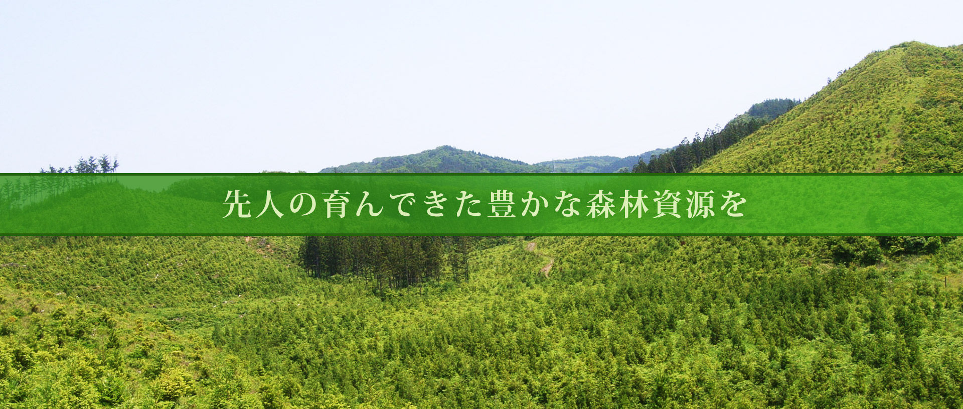 先人の育んできた豊かな森林資源を